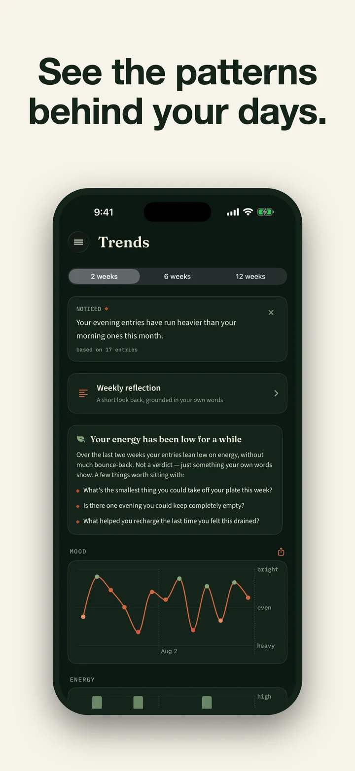 Daily Vibe trends showing reflections and mood patterns drawn from journal entries