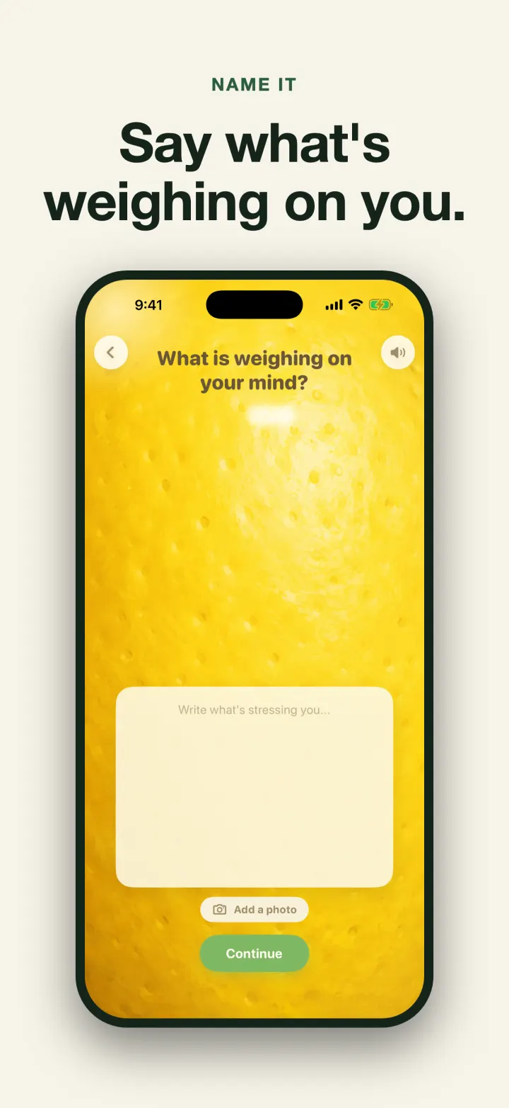 Lemon Squeeze prompt for naming a worry with optional text and photo