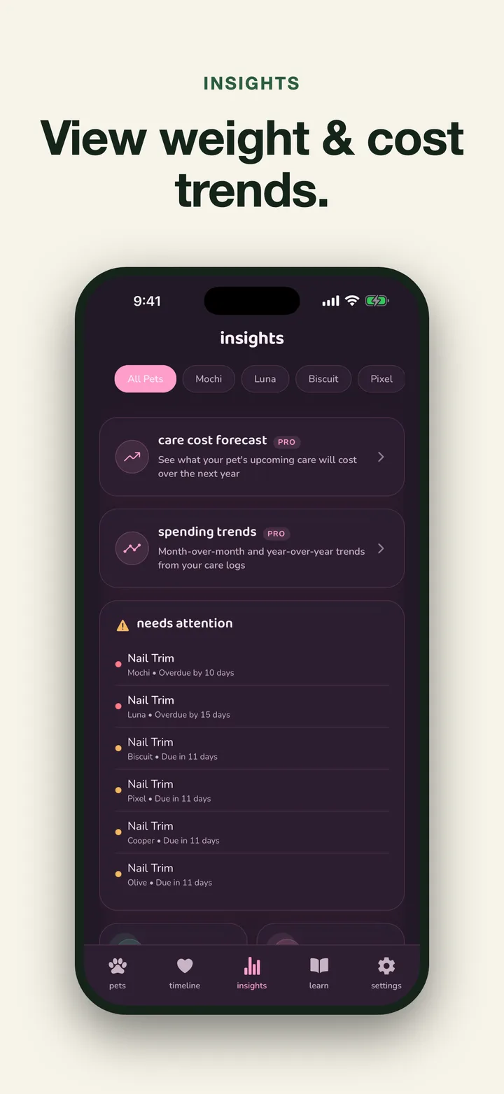Pet Story insights showing care forecasts, spending trends, and tasks needing attention